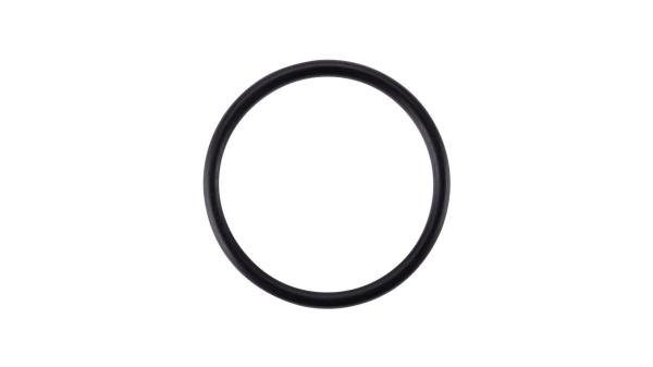 Bosch O-Ring  Unisize 