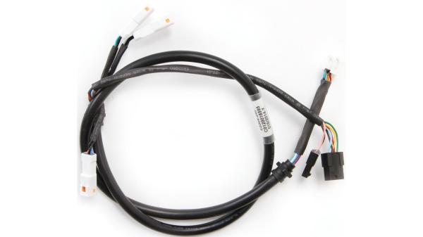 Tranzx DP16  Unisize schwarz, wei&szlig;