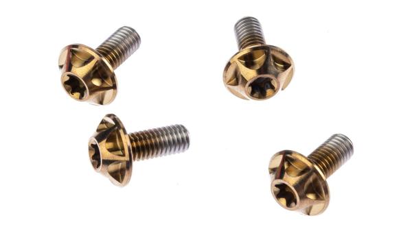 Silca Schraube  M5 gold