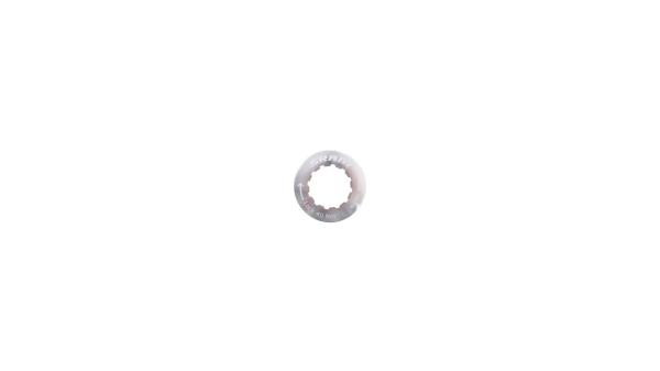 SRAM Abschlussschraube  L silber