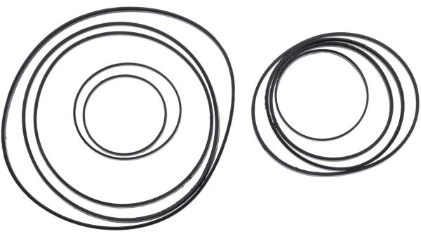 SRAM Stealth Ring-Set  L schwarz