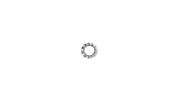 Fix-Nippel F&auml;cherscheibe  M6 silber