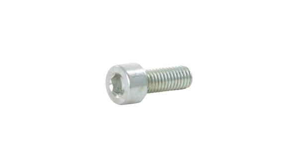 SRAM Linsenschraube  M5 