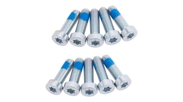 Pinion Befestigungsschraube  XXL silber