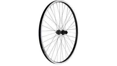 CONTEC Sputnik + Shimano FH-QC400  XXL schwarz, silber Produktbild 2