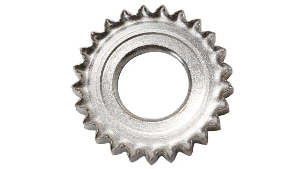 Campagnolo Zahnscheibe   silber