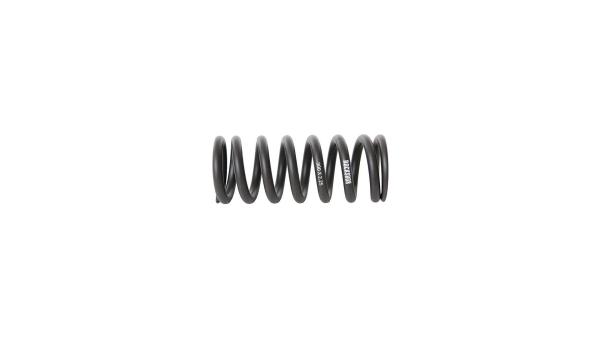 RockShox Feder  Unisize schwarz
