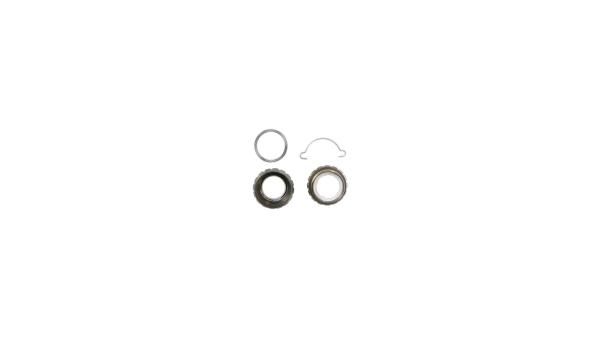 Campagnolo Ultra Torque  L silber