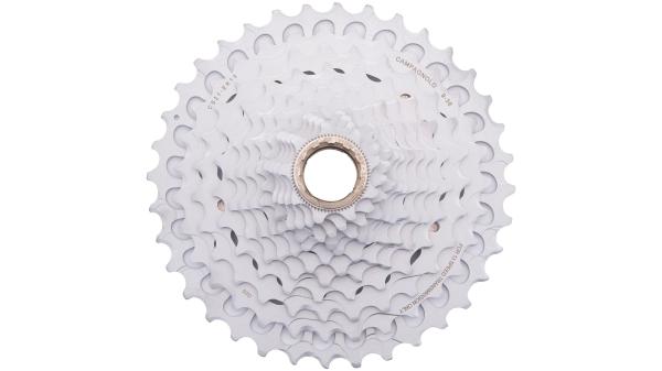 Campagnolo Ekar 13s  L silber