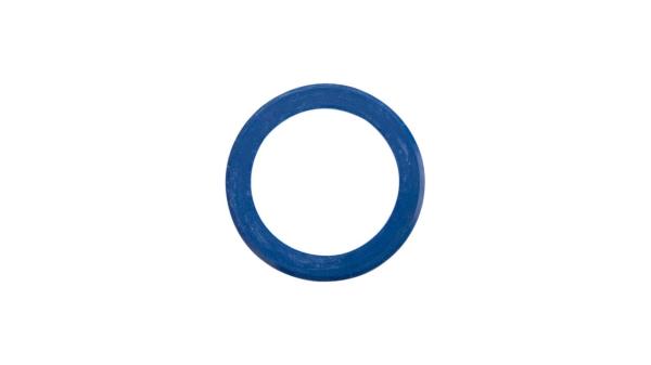 Fulcrum Dichtring  L blau