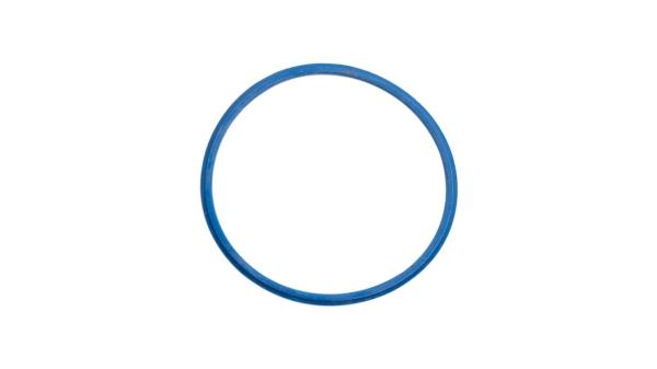 Fulcrum Dichtring  L blau