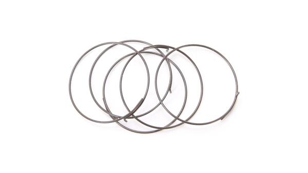 Campagnolo Sperrklinkenfeder  L silber