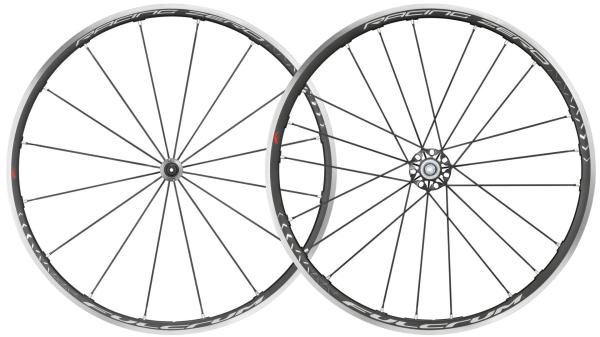 Fulcrum Racing Zero C17  F1 grau, schwarz