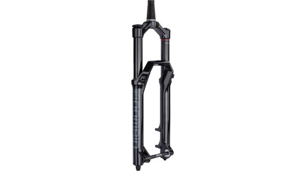 RockShox Domain RC  XL schwarz, grau