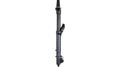 RockShox Domain RC  XL schwarz, grau Produktbild 1