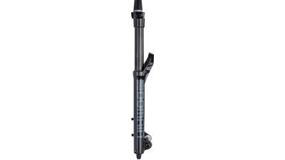 RockShox Domain RC  S schwarz, grau Produktbild 1