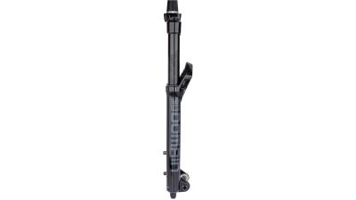 RockShox Domain RC  S schwarz, grau Produktbild 1