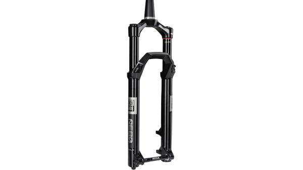 RockShox Reba Gold Isolator 3P  L schwarz, grau