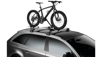 Thule Fatbike  Unisize schwarz Produktbild 1