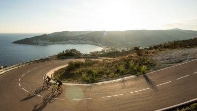 Trek Trikot Trek Circuit LTD XS Deep Dark Blue/Viper Re Produktbild 8