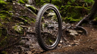 Bontrager Reifen Bontrager Brevard RSL SE 29x2.5 TLR Black Produktbild 3