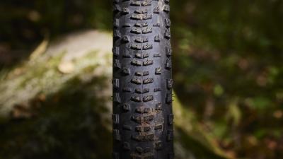 Bontrager Reifen Bontrager Sainte-Anne Pro XR 29x2.40 TLR Bl Produktbild 4
