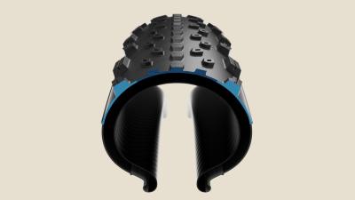 Bontrager Reifen Bontrager Sainte-Anne Pro XR 29x2.40 TLR Bl Produktbild 6