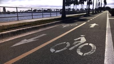 Trek District+ 4 LS Coaster XS Pennyflake 725WH Produktbild 2
