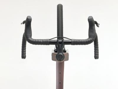Trek Checkpoint ALR 5 XL Bronze Age Produktbild 2
