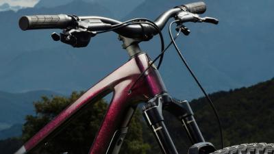 Trek Fuel Carbon F/S G7 S Gloss Dark Carmine/Matte Trek Produktbild 3
