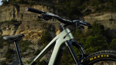 Trek FUEL+ LX 9.8 XT EU L Lichen Green/Keswick Green Sp Produktbild 3