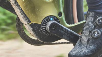 Trek Checkpoint+ SL F/S M Matte Bronze Age/Dark Web Produktbild 2