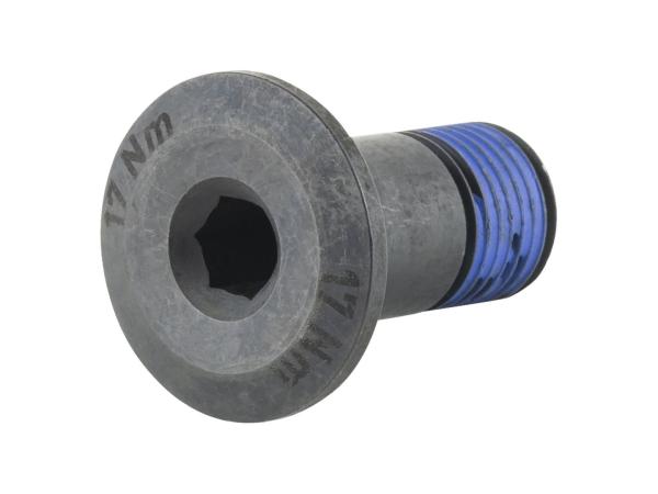 Trek Fastener Trek Bolt M10x1x21mm 18.5mm Head Stainles
