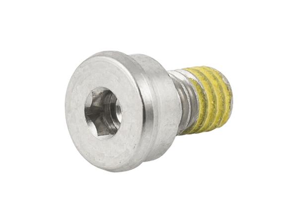 Trek Fastener Trek Domane+ SLR Motor Cover Bolt