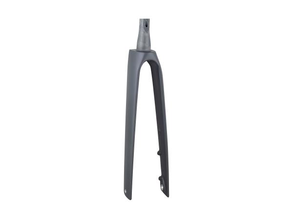 Trek Forkrigid Trek Madone SLR 40R  Deep Smoke