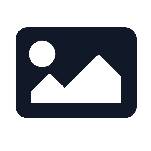 Bontrager Wheel Front Bontrager Duster Elite/DC711 29 Disc 3