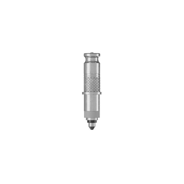 Schwalbe CLIK VALVE DV-SCV Conversion Kit (Valves only: 2xValve Core SCV, 1xKey, 2xDust C