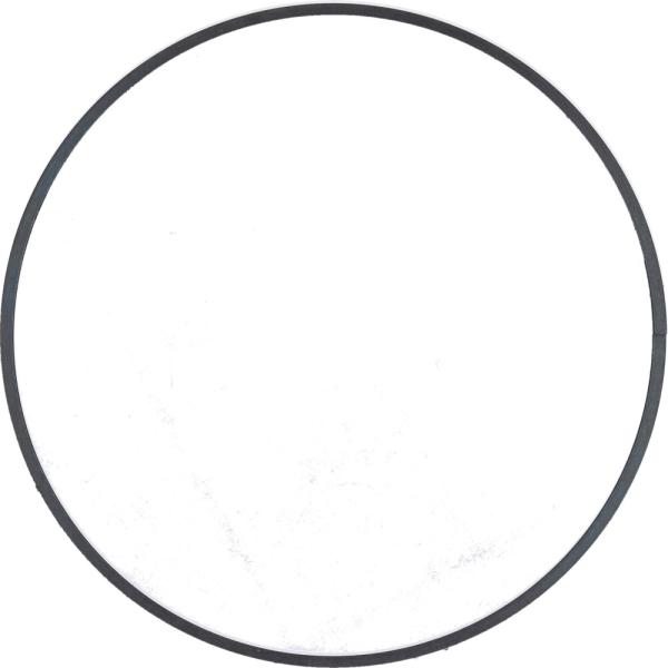 SHIMANO Stopring SG-8R20