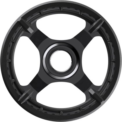 Kettenblätter E-Bike