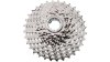 Campagnolo Super Record WRL 13S  XL silber
